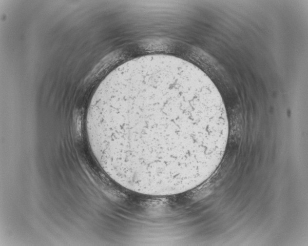 X0000059800124200511111611