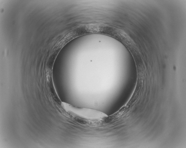 X0000059800125200511111611