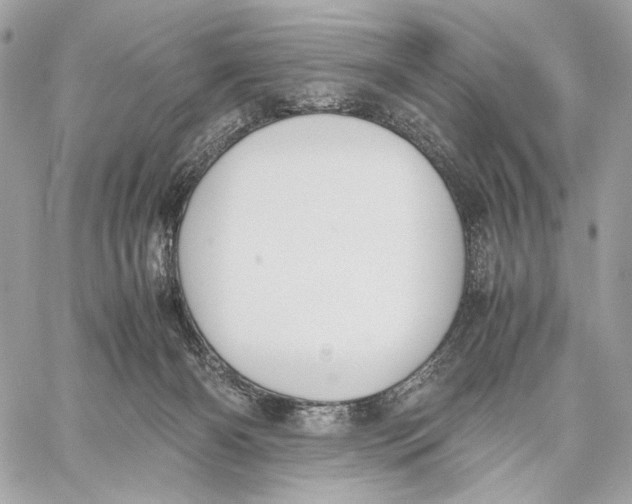 X0000059800126200511111611