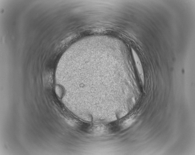 X0000059800127200511111611