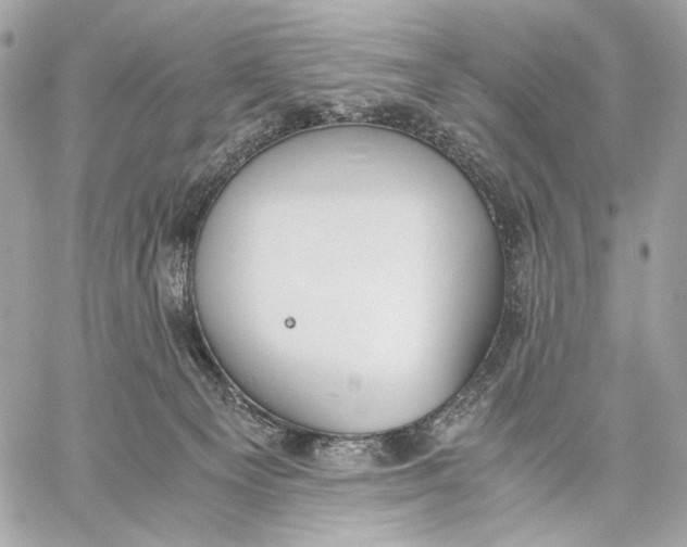 X0000059800129200511111611