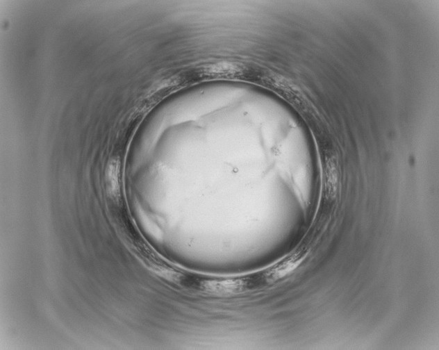 X0000059800131200511111611