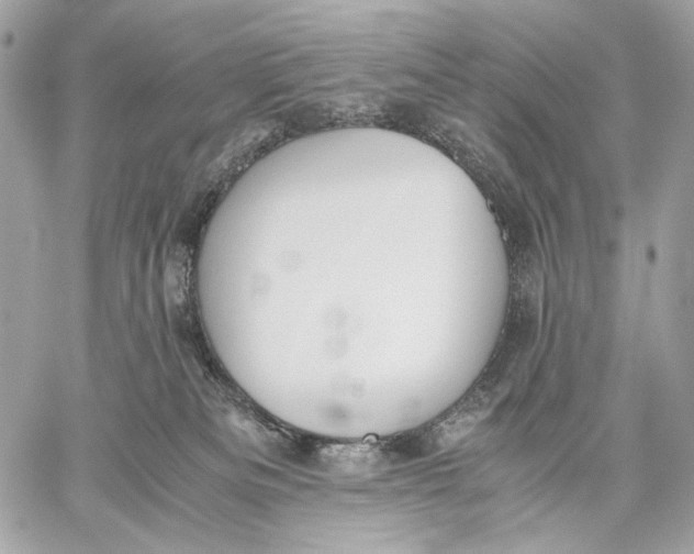 X0000059800133200511111611