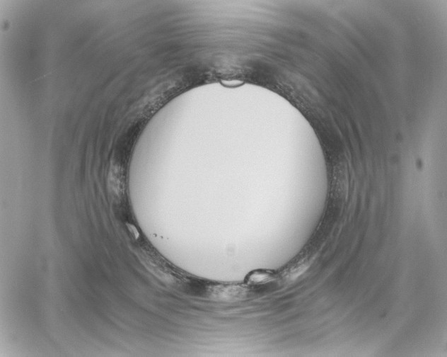 X0000059800135200511111611