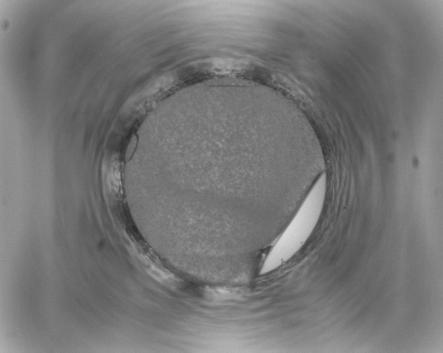 X0000059800137200511111611