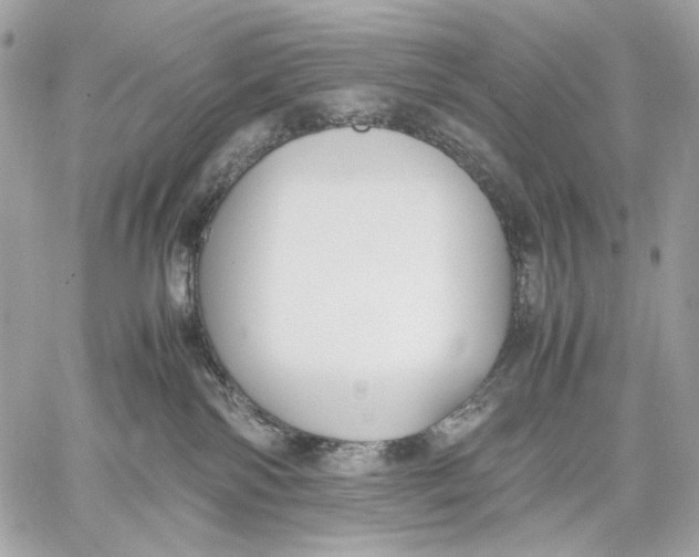 X0000059800138200511111611