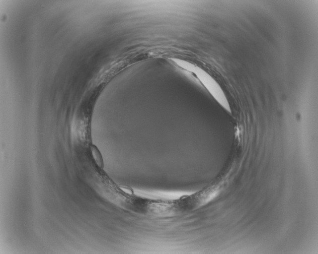 X0000059800139200511111611