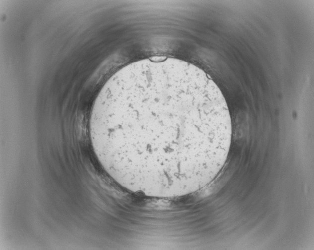 X0000059800140200511111611