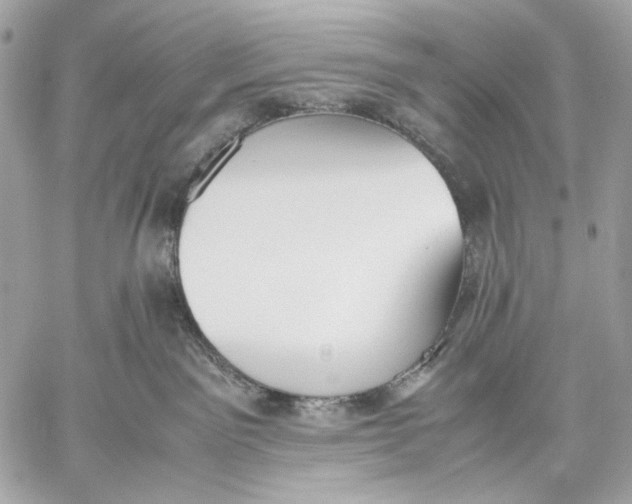 X0000059800141200511111611