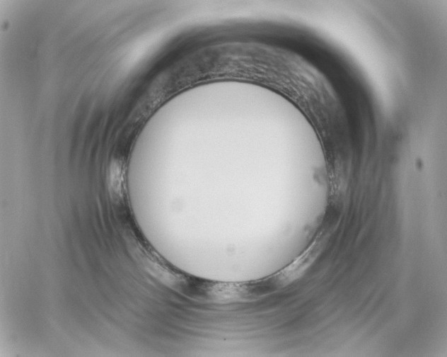 X0000059800142200511111611