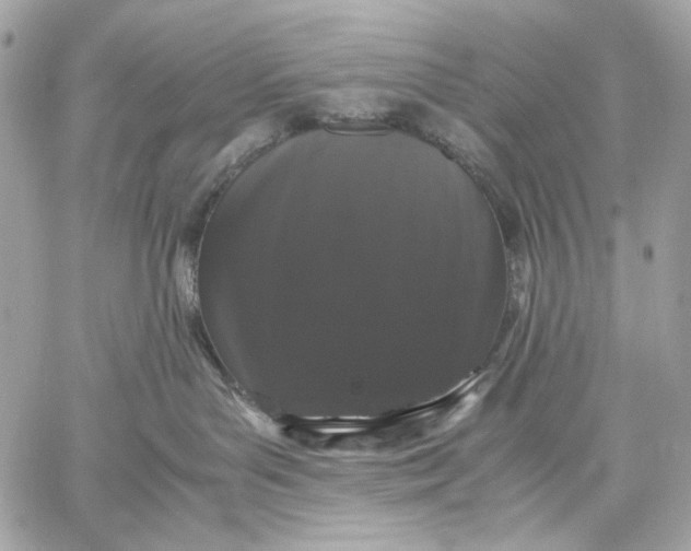 X0000059800143200511111611