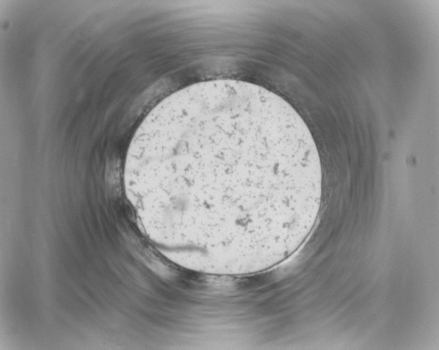 X0000059800144200511111610