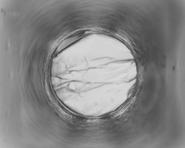 X0000059800145200511111610