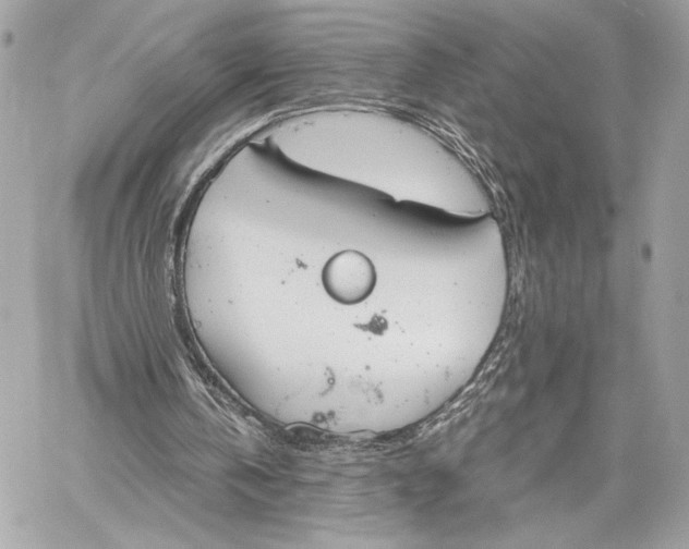 X0000059800146200511111610