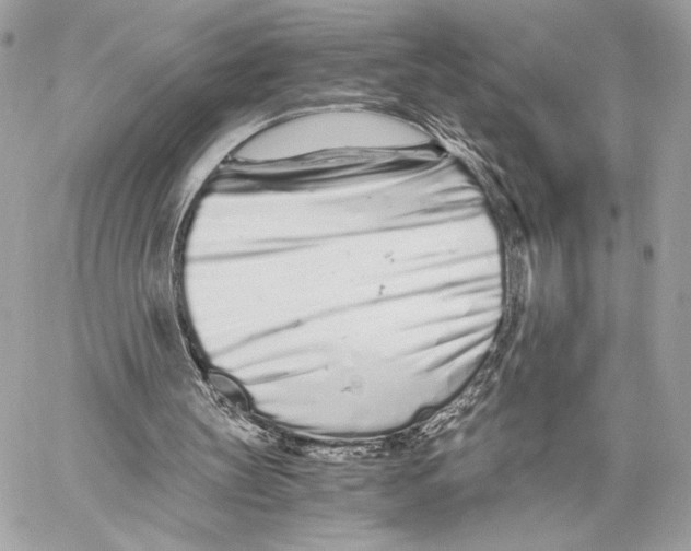 X0000059800147200511111610