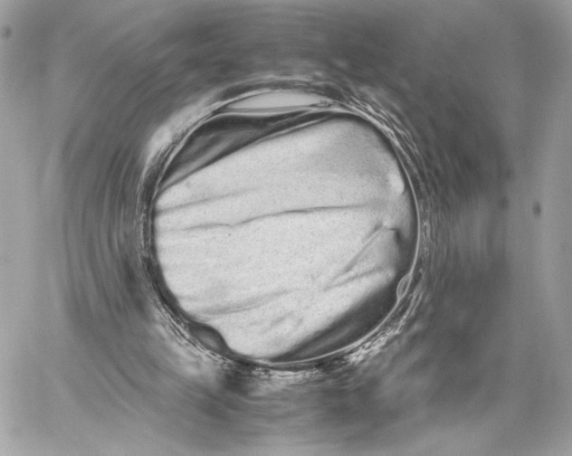 X0000059800149200511111610