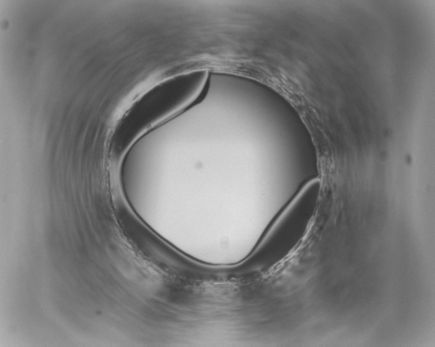 X0000059800150200511111610