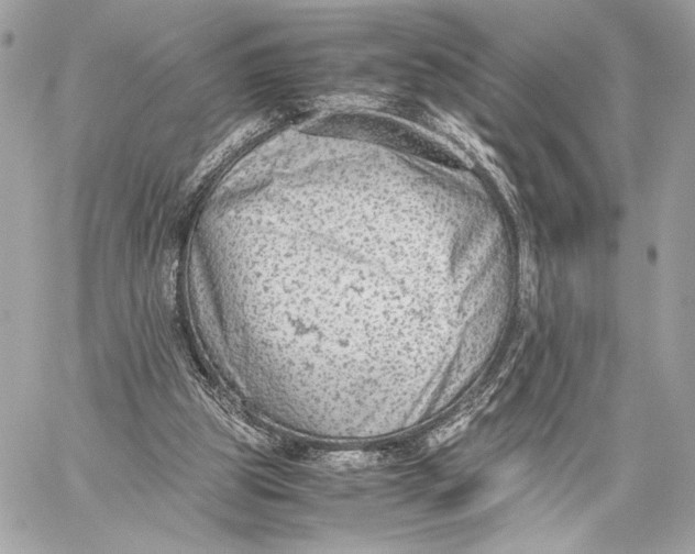 X0000059800153200511111610