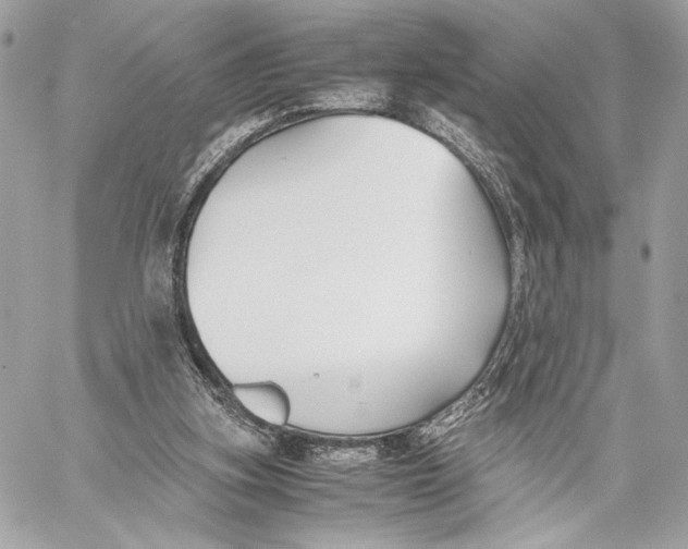 X0000059800155200511111610