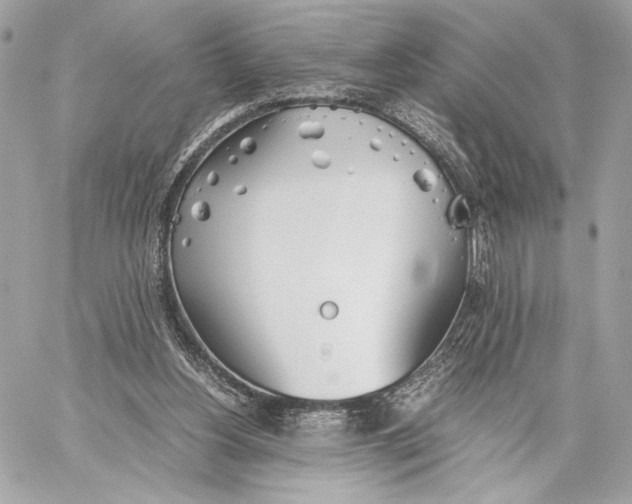 X0000059800156200511111610