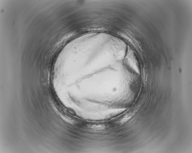 X0000059800157200511111610