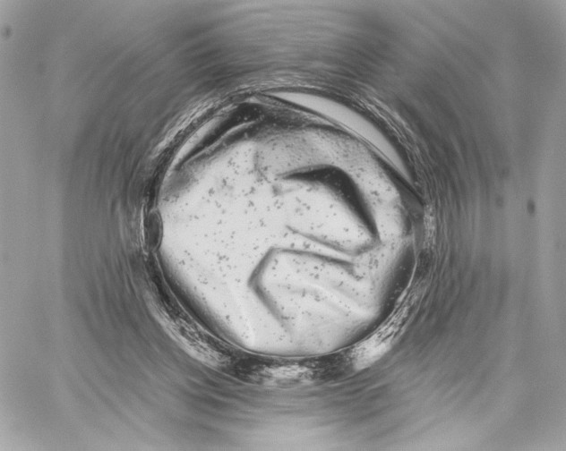 X0000059800158200511111610