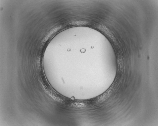 X0000059800159200511111610