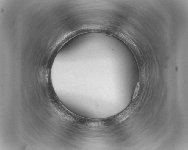 X0000059800160200511111610