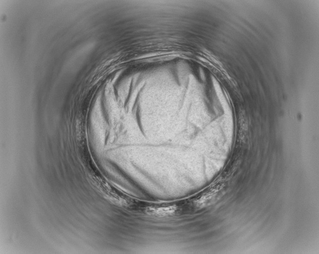 X0000059800161200511111610