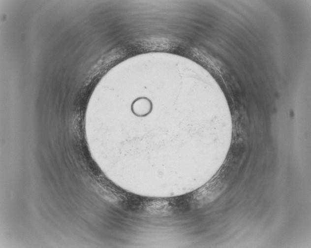 X0000059800162200511111610