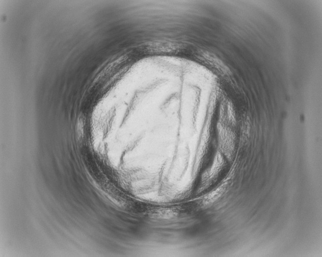 X0000059800166200511111610