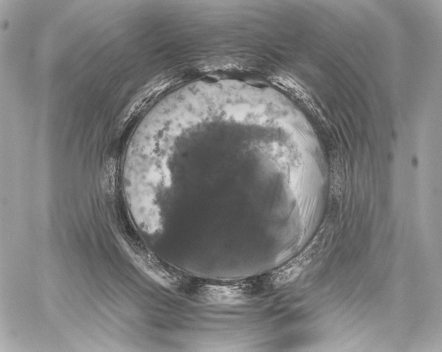 X0000059800167200511111610