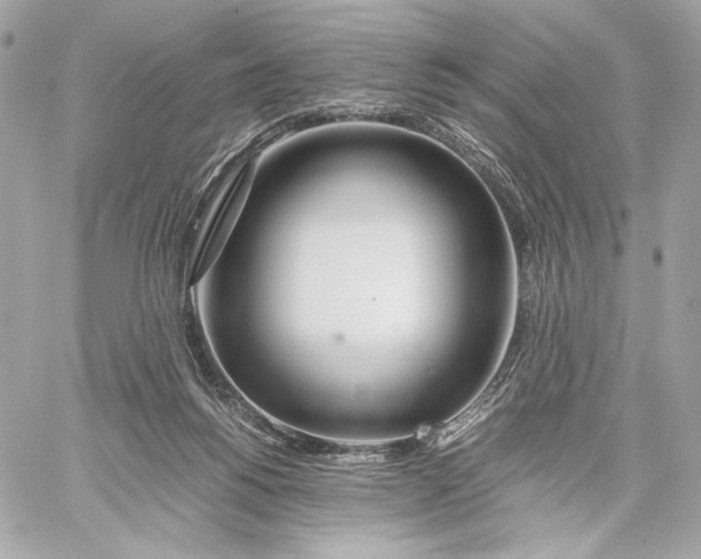 X0000059800168200511111610