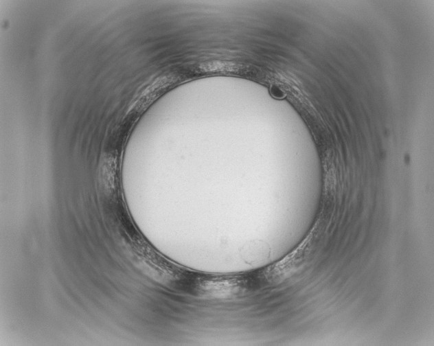 X0000059800171200511111610