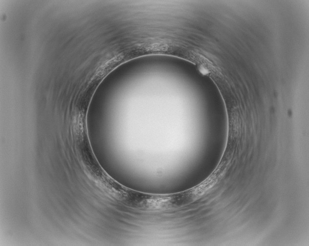 X0000059800172200511111610