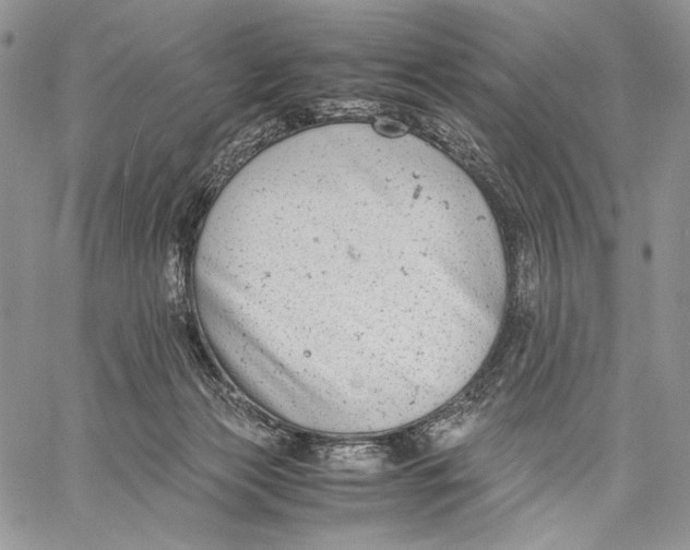 X0000059800173200511111610