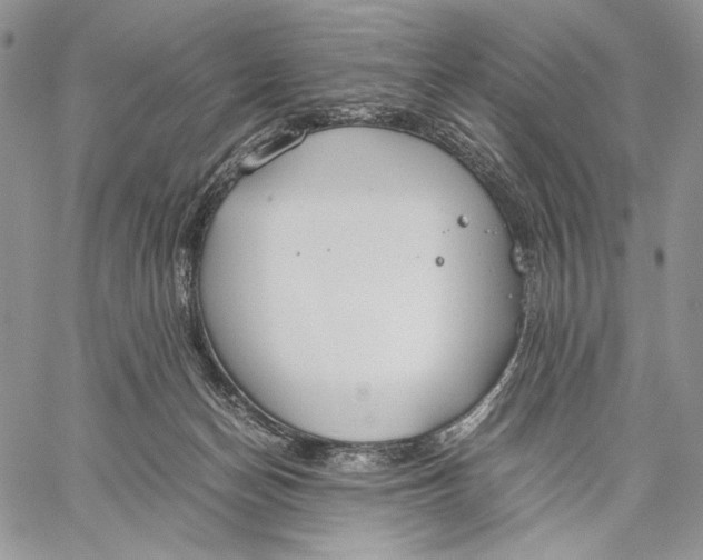 X0000059800174200511111610