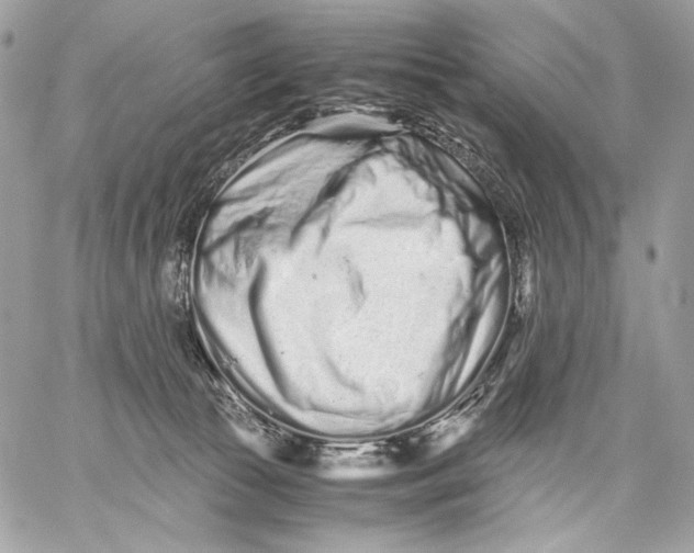 X0000059800177200511111610