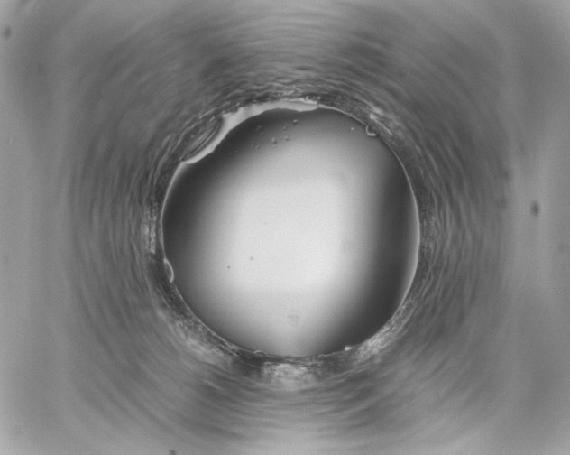 X0000059800180200511111610