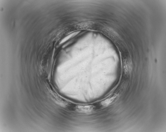 X0000059800181200511111610