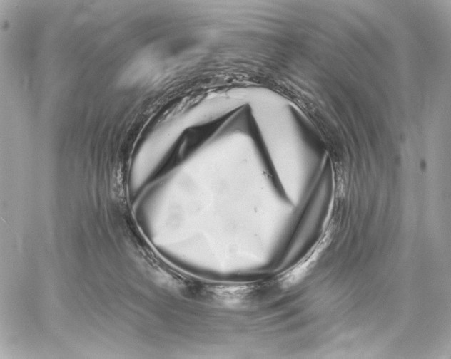 X0000059800182200511111610