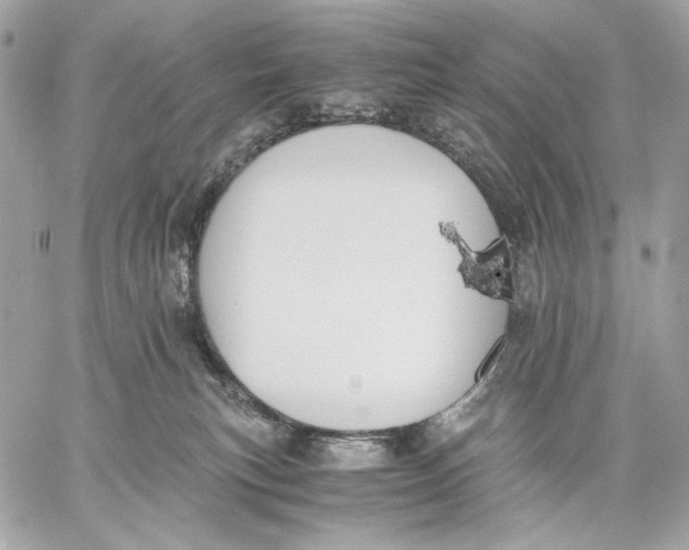 X0000059800183200511111610