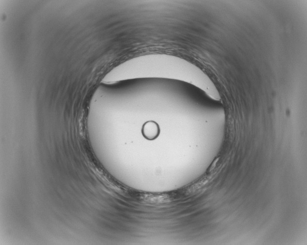 X0000059800185200511111610