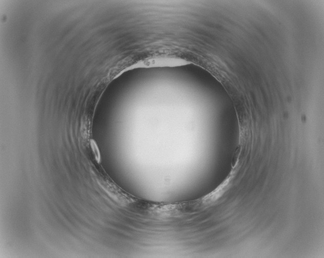 X0000059800186200511111610