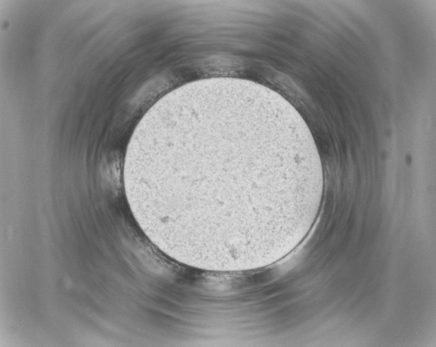 X0000059800190200511111610