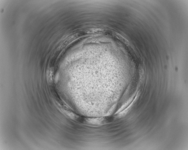 X0000059800191200511111610