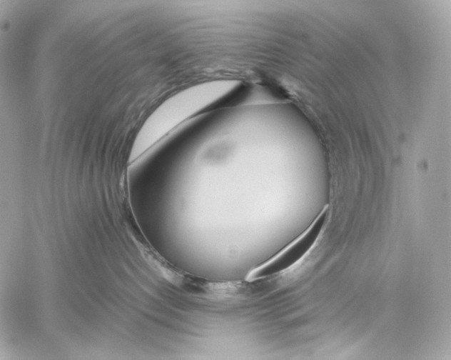 X0000059800192200511111610