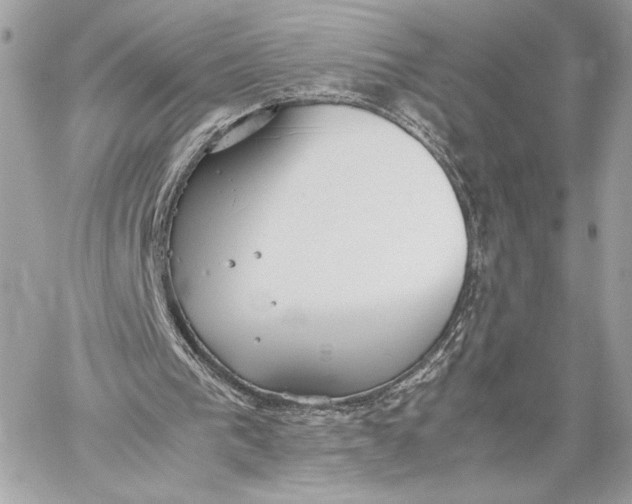 X0000059800193200511111610