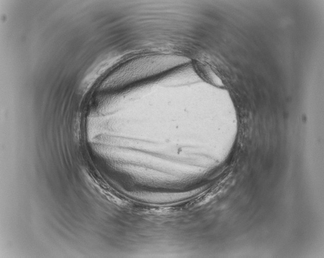 X0000059800194200511111610