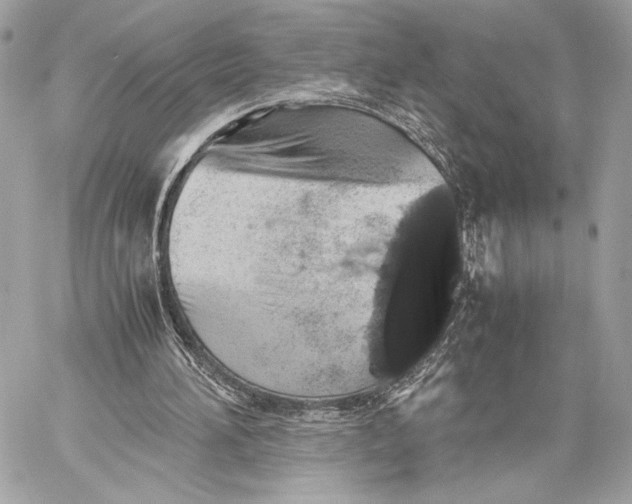 X0000059800196200511111610